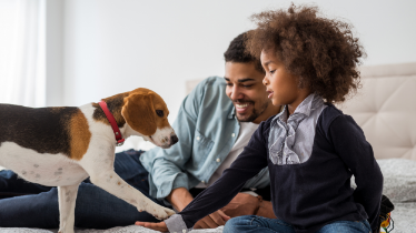 Right air filter for your family