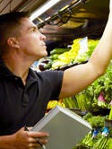 Supermarket employee checking vegetable display