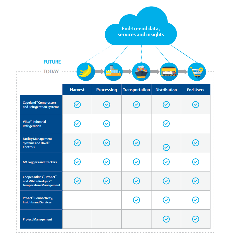 Cold chain infographic