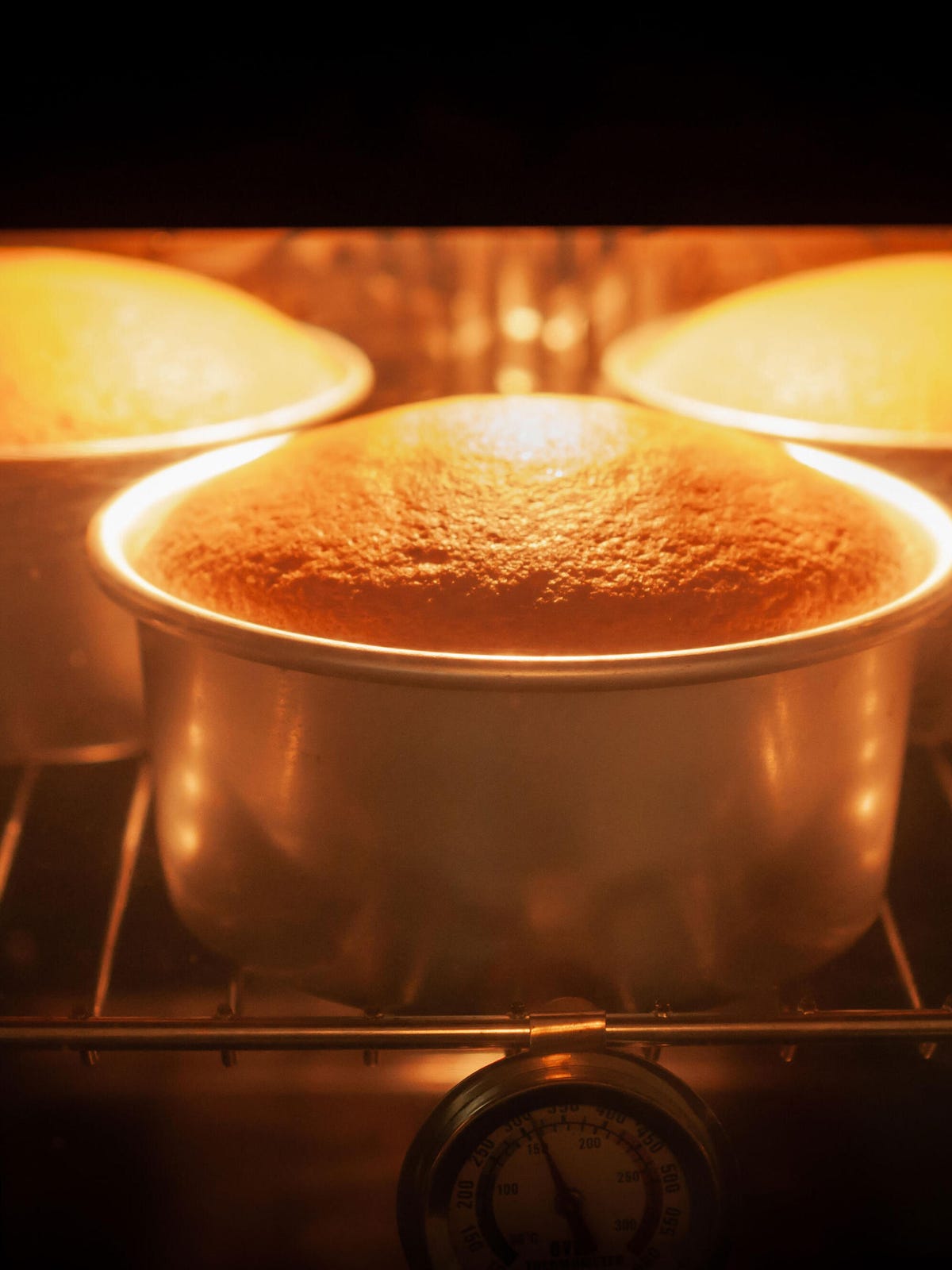 Cake Baking With Thermometer