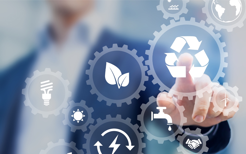 Innovation and Sustainability