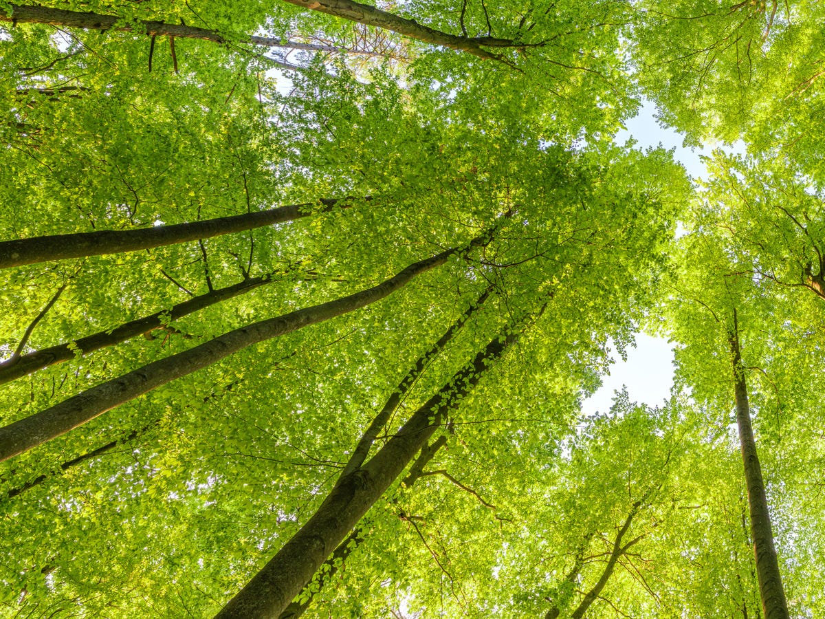Sustainability