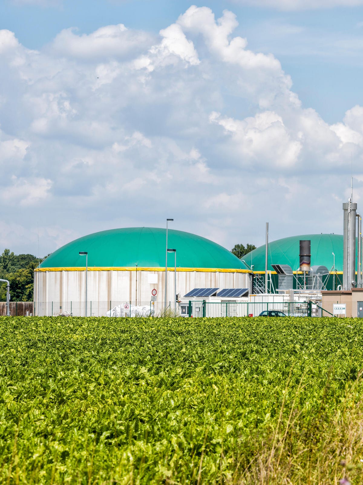 Biomethane capture farm green roof