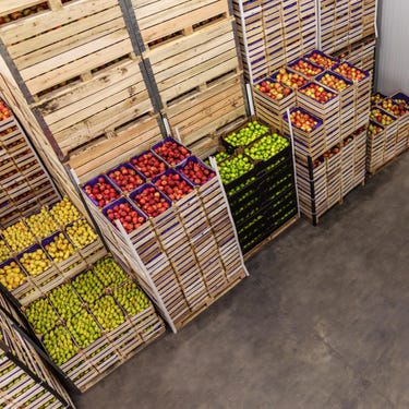 Food & Beverage Processing