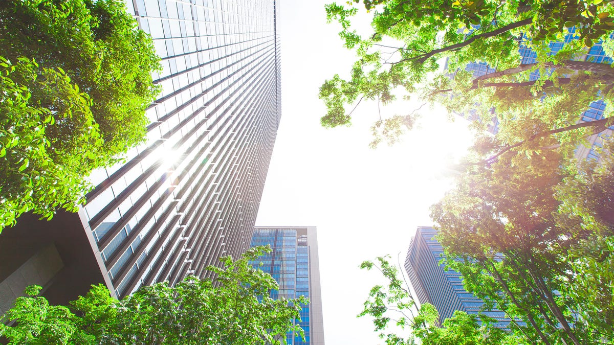 Green Cityscape