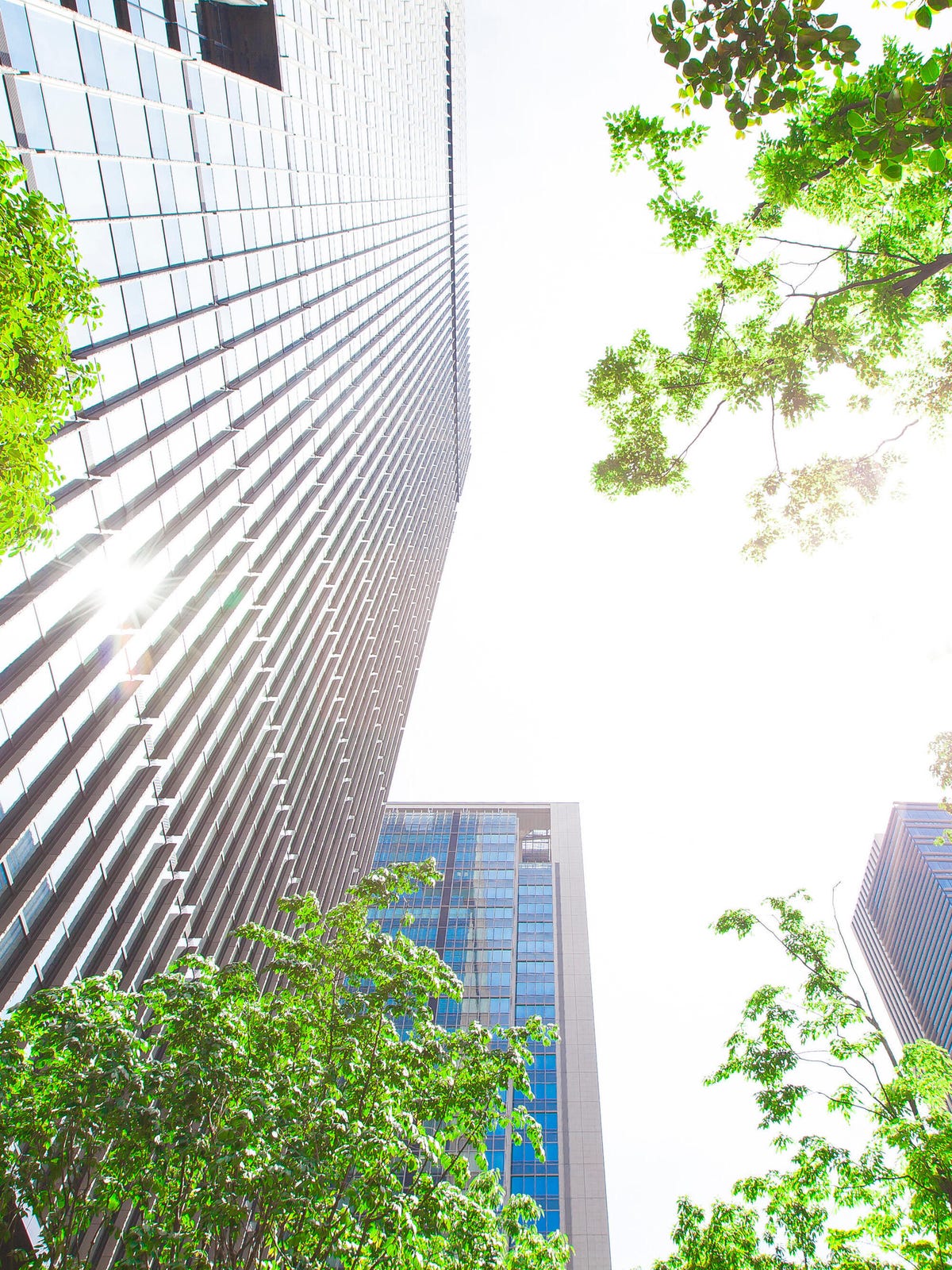 Green Cityscape