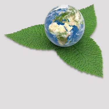 Globe on a green leaves