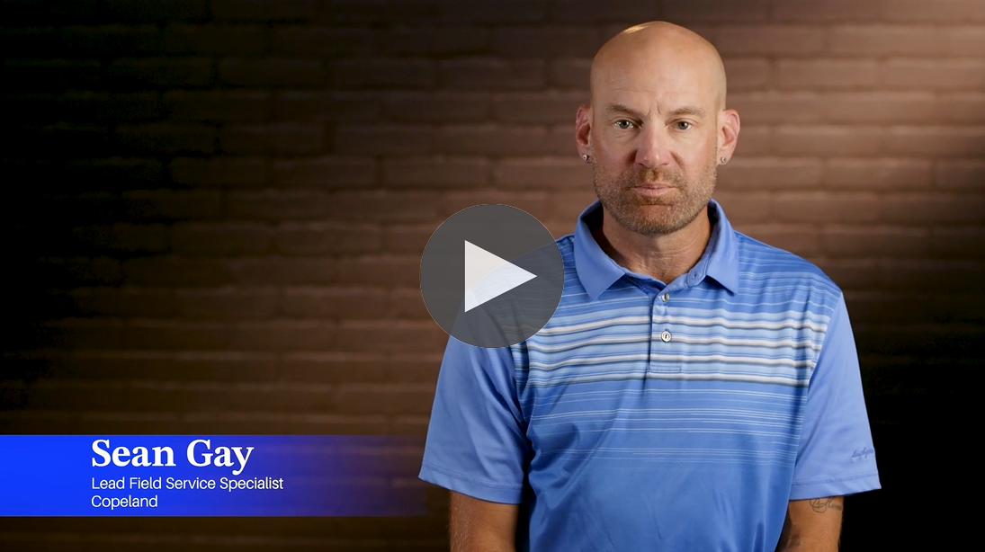 sean - webpage