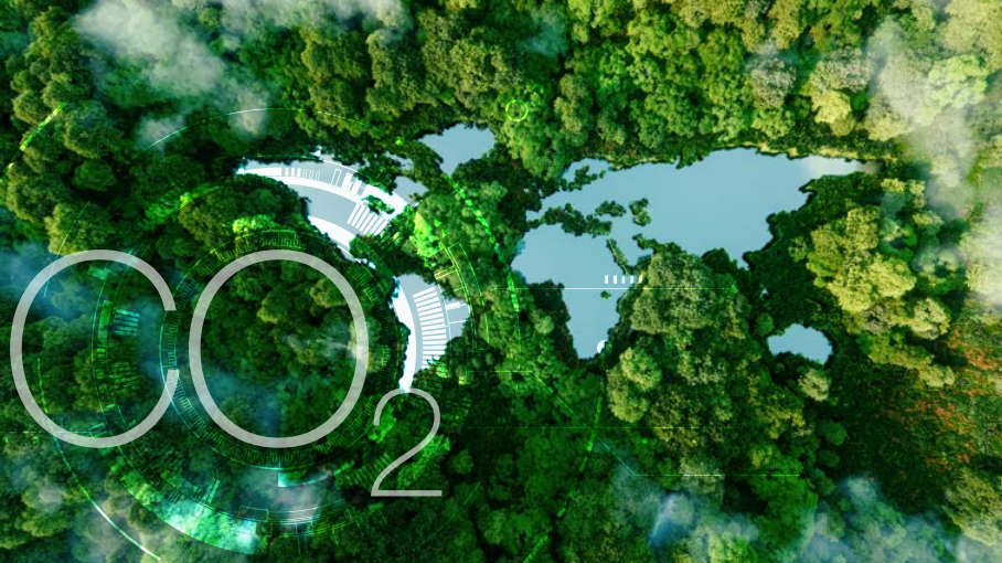 CO2 map overview with trees and lakes