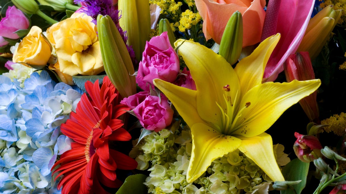 fresh-cut flowers