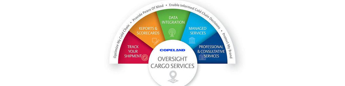 Infographie Services Cargo Oversight