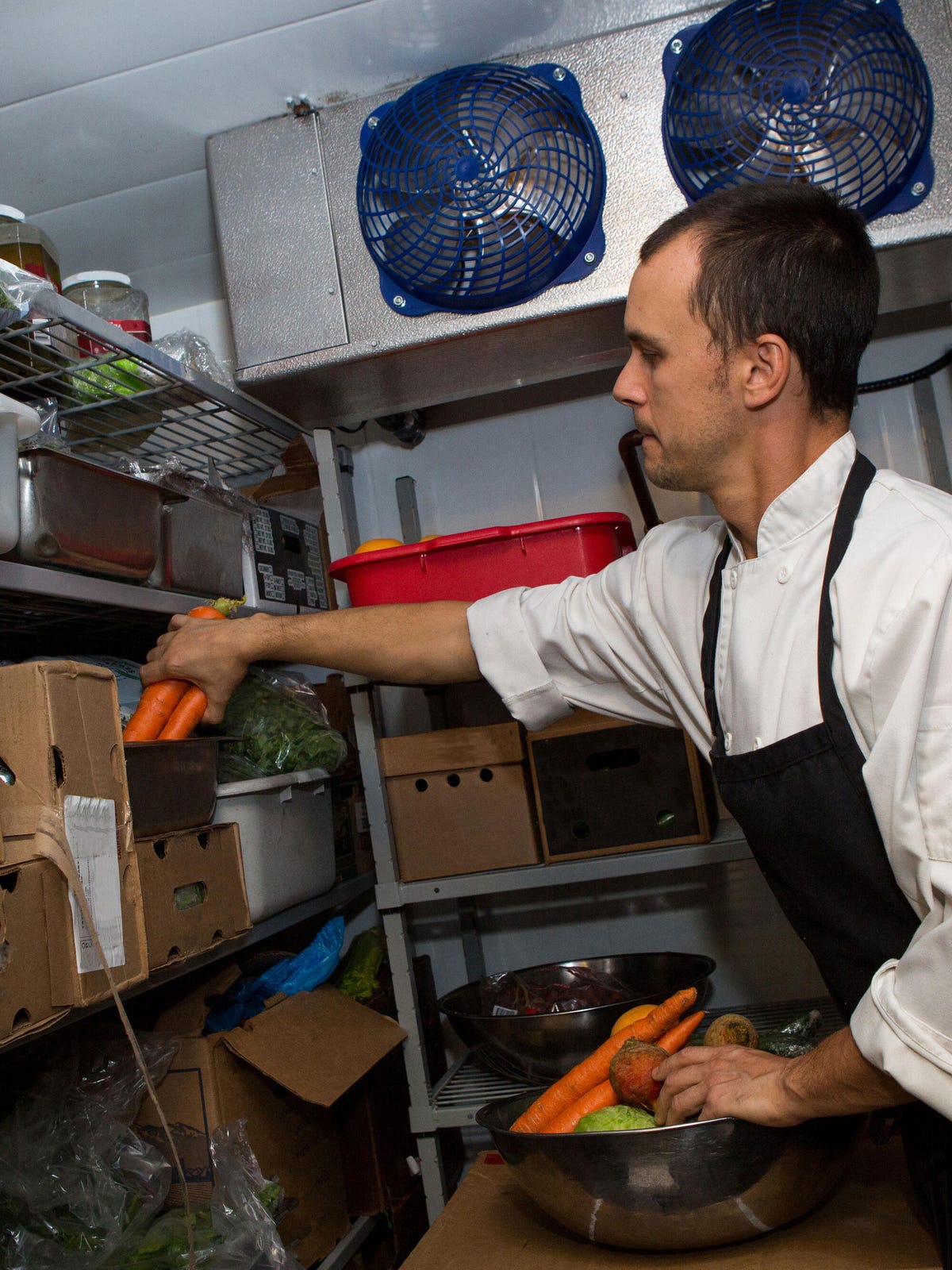 A professional male chef works in a large fridge with his food