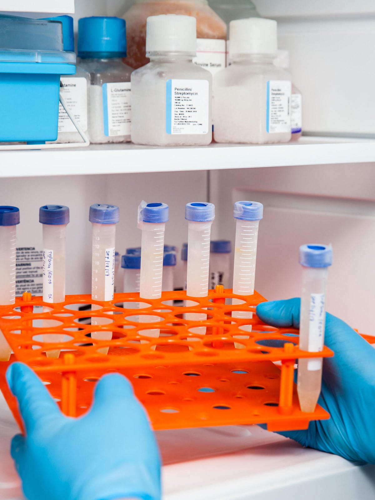 Lab freezer vials handss