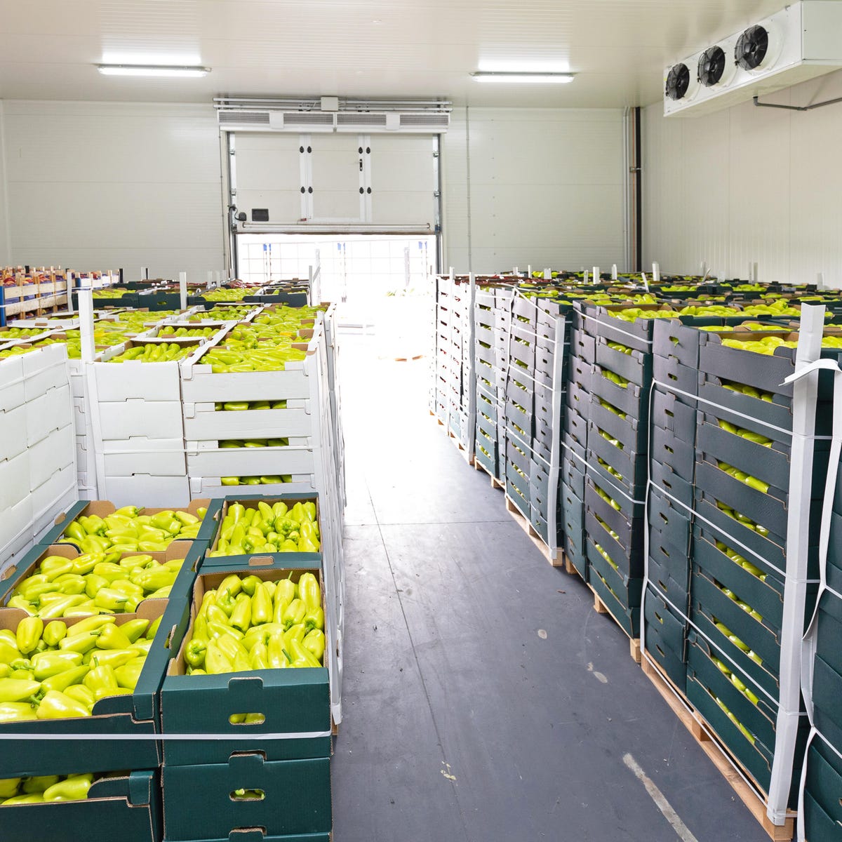 Peppers and Apples in Crates Storage Warehouse
