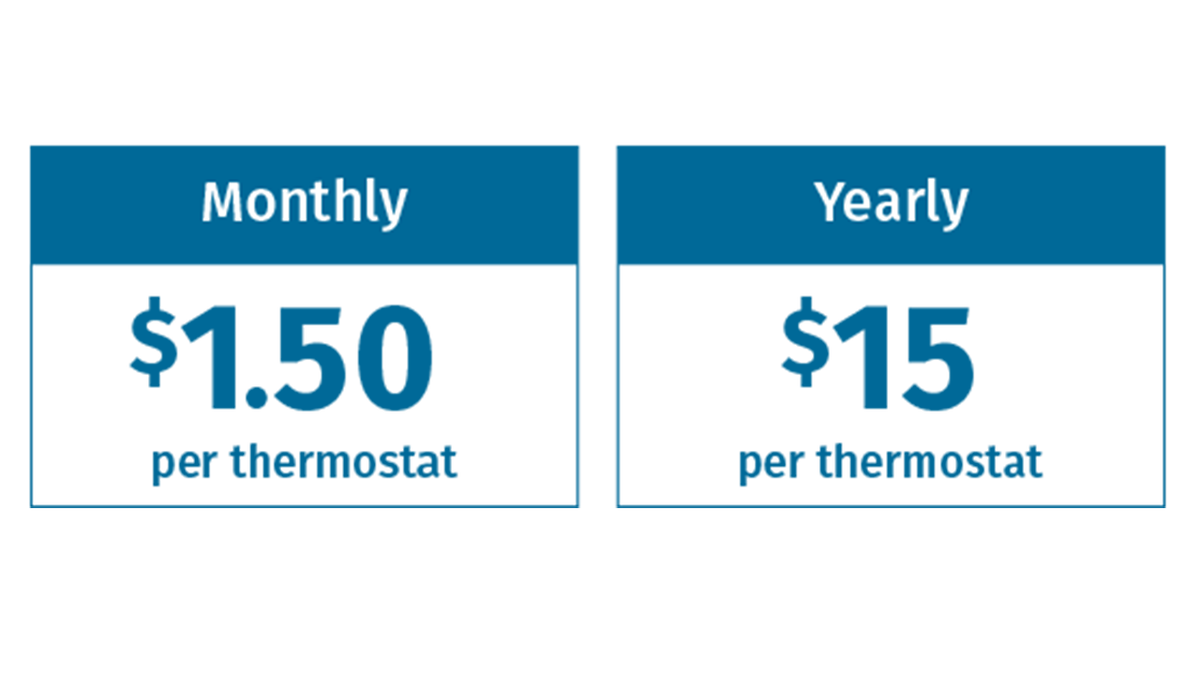 pricing pricing