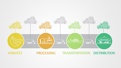 Cold Chain Solutions