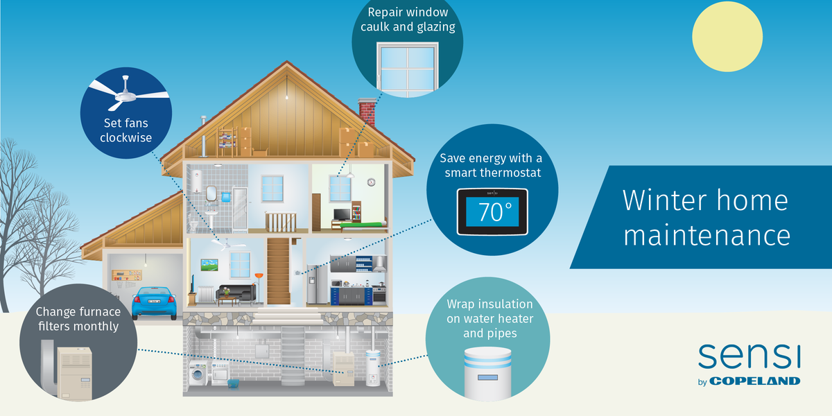 Winter Infographic