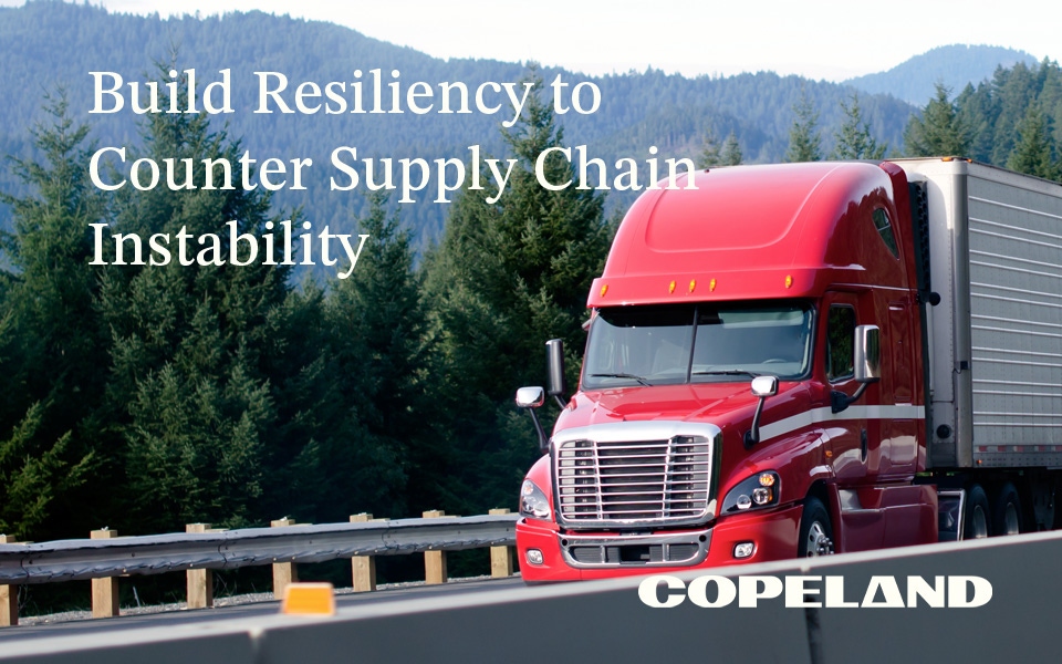Build resiliency to counter supply chain instability