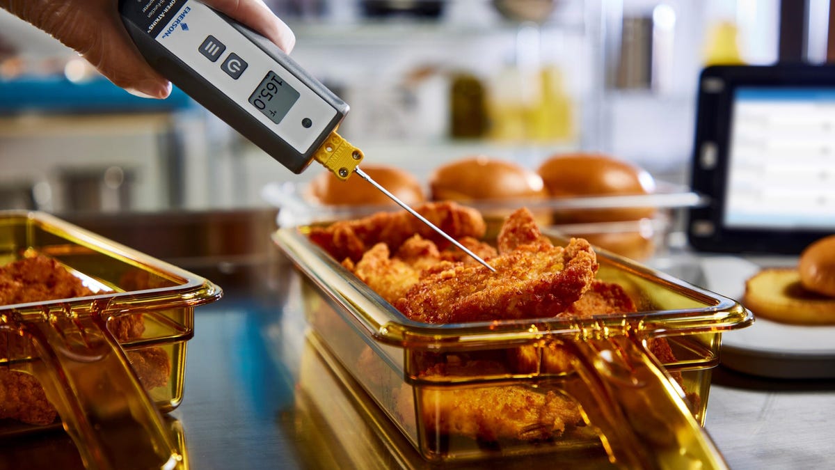 Multi-Function Thermometer testing chicken