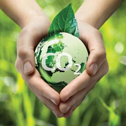 Hands holding a green globe