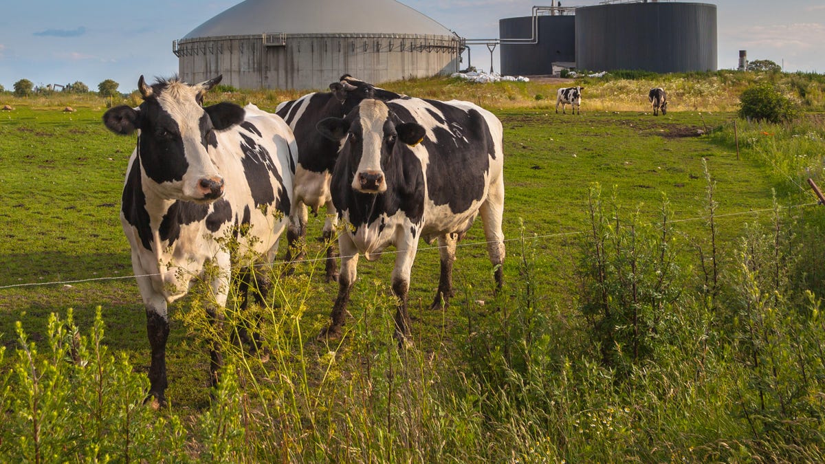 Biogas plant on a farm